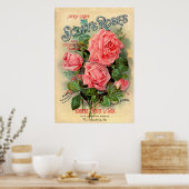 Poster Publicité écossaise Rose (Cuisine)