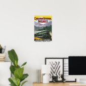 Poster Publicité pour train à vapeur des Rocheuses canadi (Bureau à domicile)