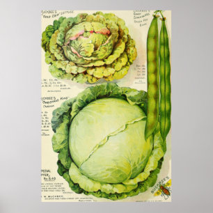 Poster Publicité vintage sur les légumes (1907)