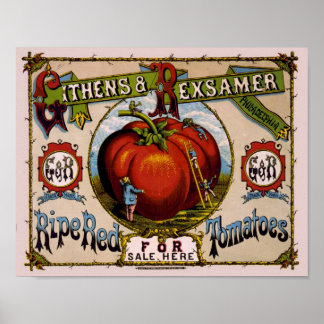 Poster Publicité vintage tomates rouges mûres