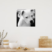 Poster Pubs américains Bulldog (Cuisine)