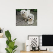 Poster Puces à l'huile (Bureau à domicile)