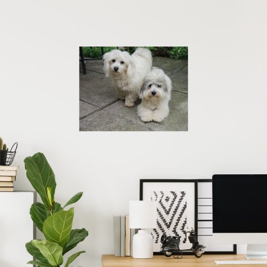 Poster Puces à l'huile (Bureau à domicile)