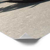 Poster Puch 150 TL (Coin)