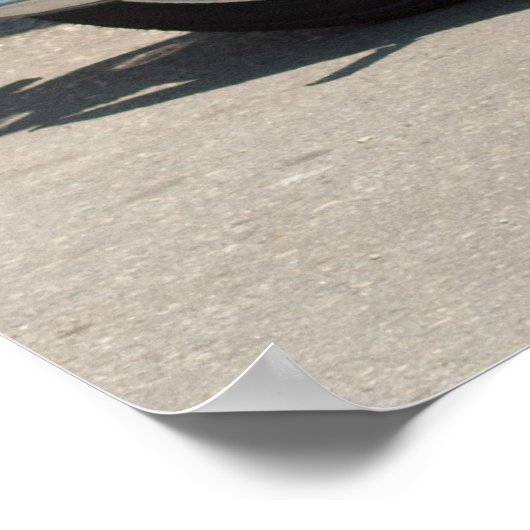 Poster Puch 150 TL (Coin)