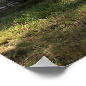 Poster Puch Haflinger (Coin)