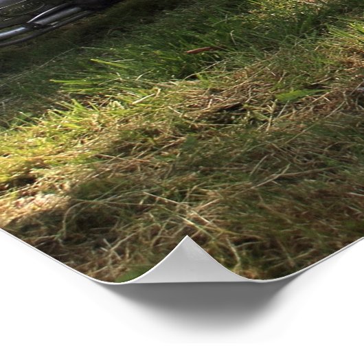 Poster Puch Haflinger (Coin)