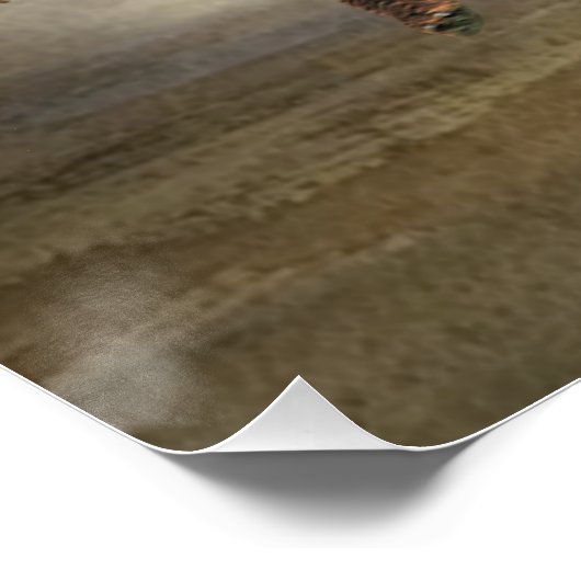 Poster Pudelpointers, Chasse faisan (Coin)