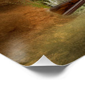 Poster Pudelpointers, Chasse faisan (Coin)