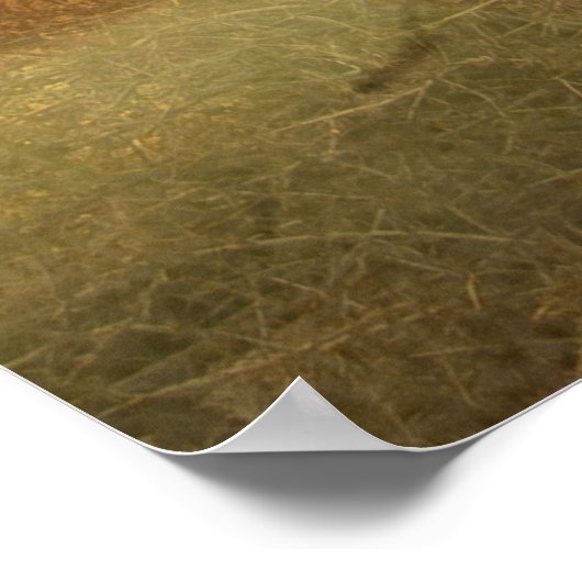 Poster Pudelpointers, Chasse faisan (Coin)