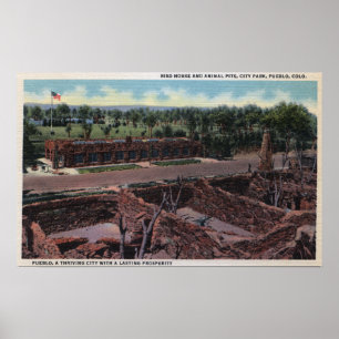 Poster Pueblo, Colorado - Bird House & Animal