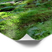 Poster Puesta de Sol en el bosque (Coin)