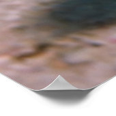 Poster Puffer (Coin)