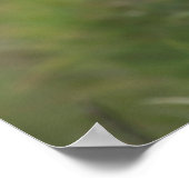 Poster Puffin (Coin)