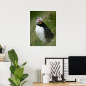 Poster Puffin (Bureau à domicile)