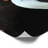 Poster Puffin (Coin)