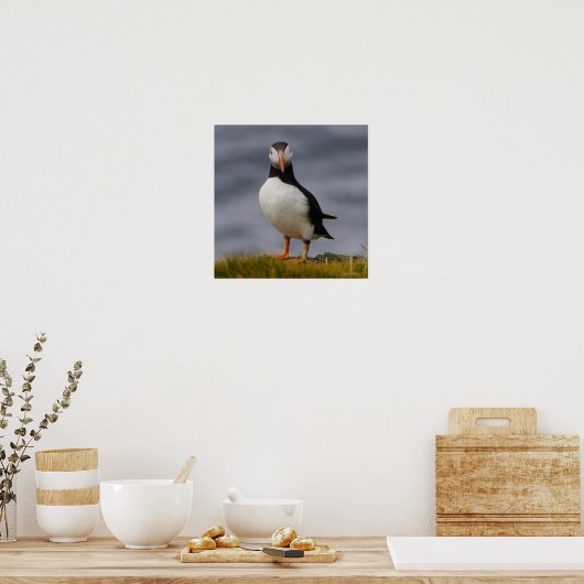 Poster Puffin (Cuisine)