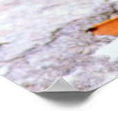 Poster Puffin (Coin)