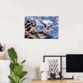 Poster Puffin (Bureau à domicile)