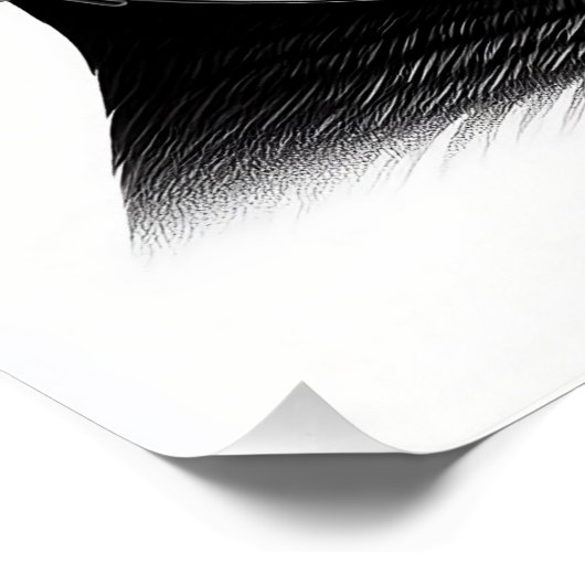 Poster Puffin (Coin)