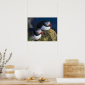 Poster Puffin atlantique (Fratercula arctica) 7 (Cuisine)