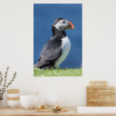 Poster Puffin Atlantique (Fratercula Arctica) Sur Cliff (Cuisine)