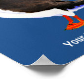 Poster Puffin de l'Atlantique (Coin)