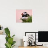 Poster Puffin de l'Atlantique (Fratercula arctica) (Bureau à domicile)