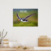 Poster Puffin d'Islande (Cuisine)
