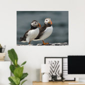 Poster Puffin Duo (Bureau à domicile)
