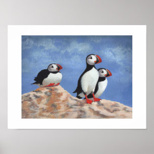 Poster Puffin Trio