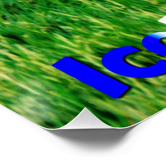 Poster Puffins (Coin)