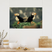 Poster Puffins à cornes (Cuisine)