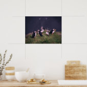 Poster Puffins de l'Atlantique (Cuisine)