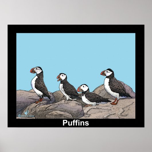 Poster Puffins de l'Atlantique (Devant)