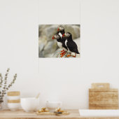 Poster Puffins de l'Atlantique sur l'île aux phoques Mach (Cuisine)