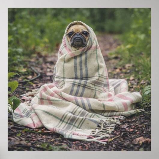 Poster Pug Dans Une Couverture (Devant)