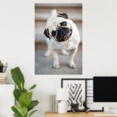 Poster Pug Head Tilt (Bureau à domicile)