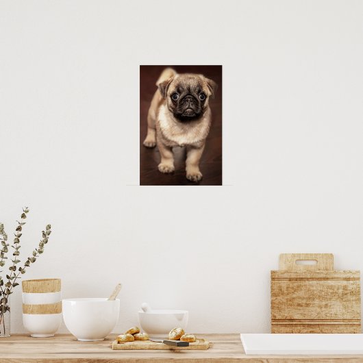 Poster Pug puppy (Cuisine)
