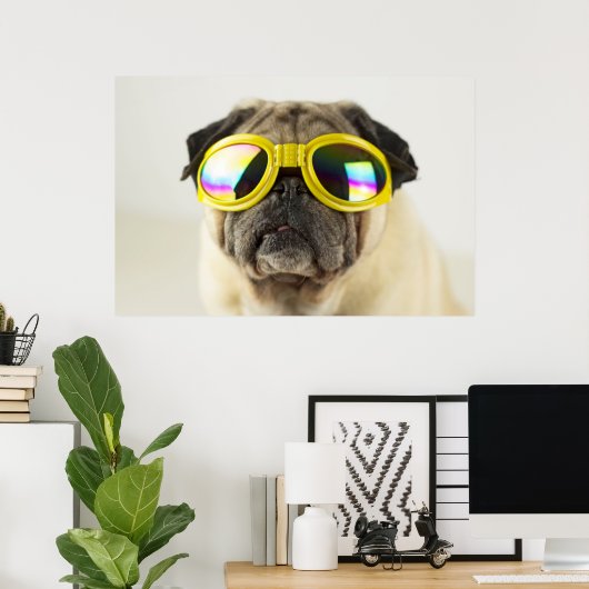 Poster Pug with Goggles (Bureau à domicile)