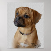 Poster Puggle Art Prints (Devant)