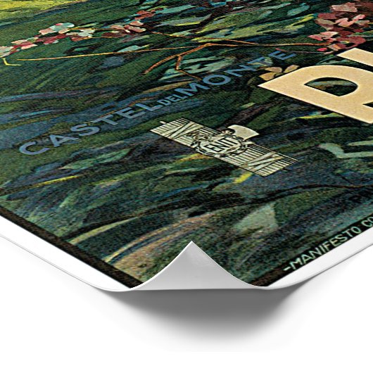 Poster Puglie (Coin)