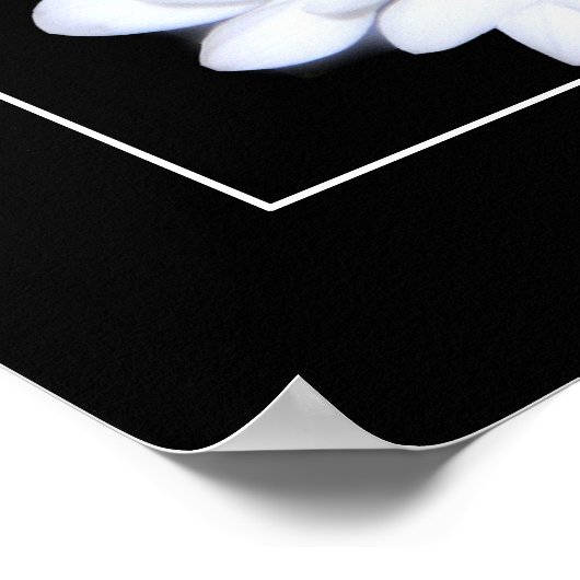 Poster Puissance de flux (Coin)