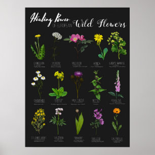 Poster Puissance de guérison des fleurs sauvages européen