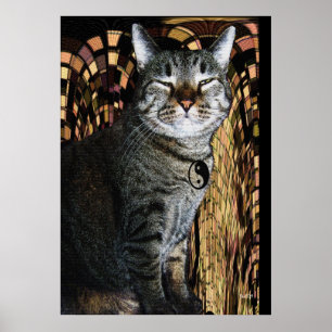 Poster Puissance de Purrsuasion
