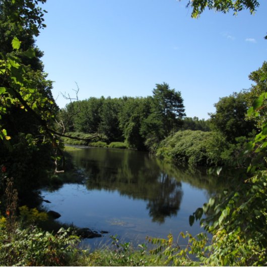 Poster Puissance du cheval
