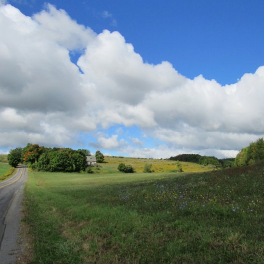 Poster Puissance du cheval