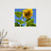 Poster Puissance du tournesol (Cuisine)