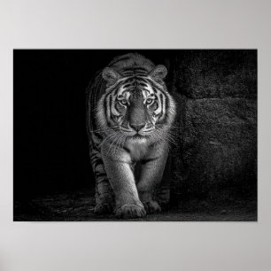 Poster Puissance et Présence - Faune du Tigre Monochrome