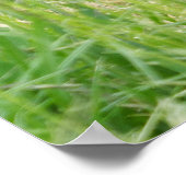 Poster Puissance et puissance d'Ozala (Coin)